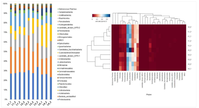 문(phylum) 수준에서의 세균 분포(총 30문). 분류군의 구성비를 나타낸 heatmap과, 각 시료 및 분류군(taxon)의 상호 연관성을 Bray-Curtis dissimilarity 계산에 의해 나타낸 dendrogram