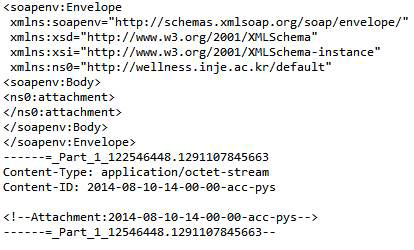 SOAP Messages with Attachements 메시지