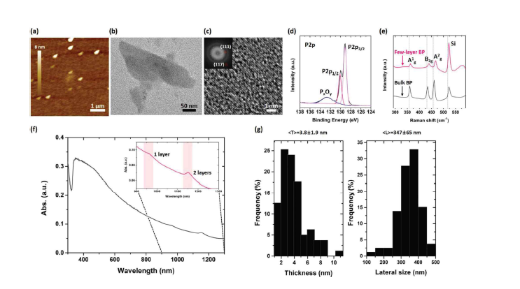초 소수성 미세유체반응기내 낮은 공동현상 효과에서 박리된 흑린 나노시트 특성 분석: (a) 흑 린 나노시트의 AFM 사진. (b), (C) 흑린 나노시트의 TEM 및 FFT 사진. (d), (e) 흑린 나노시트의 XPS 스펙트럼 및 Raman 스펙트럼. (f) 분산된 흑린 나노시트의 UV-Vis 스펙트럼. (g) 흑린 나노시트 의 크기 분석 (두께: 3.8±1.9 nm, 크기: 347±65 nm).