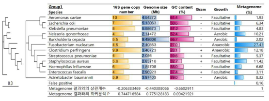 Mock community group2의 구성 및 metagenome 분석