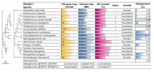 Mock community group3-1의 구성 및 metagenome 분석