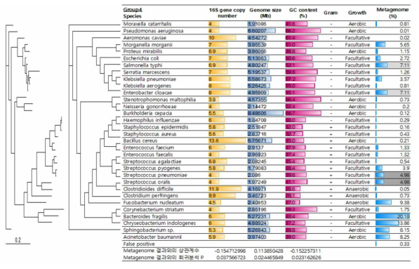 Mock community group4의 구성 및 metagenome 분석