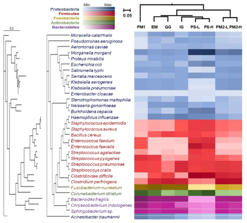 DNA purification kit 및 PCR 조건에 따른 relative compositions의 heat map