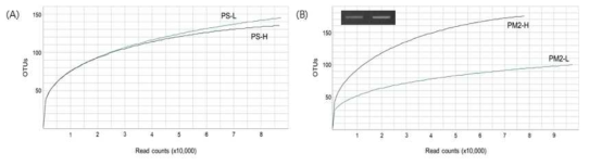 DNA 농축 (A) 및 PCR 조건 (B)에 따른 rarefaction curve