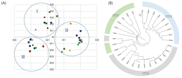 Principal coordinates analysis (A) 및 UPGMA clustering (B) 결과