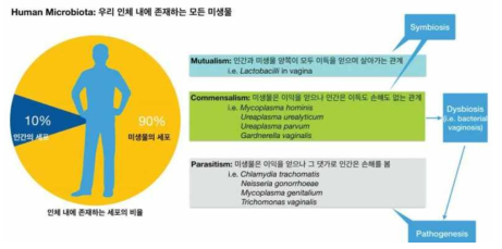 인체 내에 존재하는 미생물의 분포와 인체 microbiota의 개념