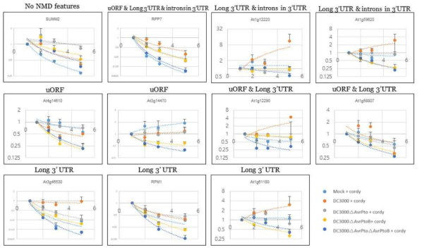 다양한 PstDC3000 균주 접종 후, NLR transcripts의 mRNA stability. A. CNL-type. B. TNL-type. 병원균 접종 24시간 이후 cordycepin을 처리하여 1, 2, 4 시간이 경과한 시점의 식물 잎에서 RNA를 추출하여 사용