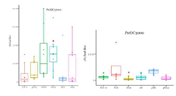 RLCKs와 E2 ubiquitin conjugating enzymes의 PstDC3000 감염에 대한 저항성 반응. 병원균 (OD600=.0001) 접종 3일 후 세균수 측정. *P<0.05, student’s t-test, n=8