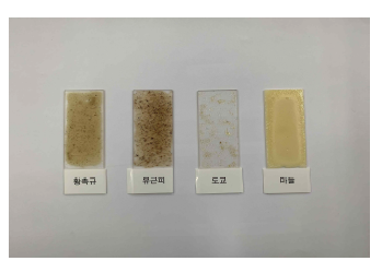 도교, 유근피, 황촉규, M 접착제 가역성 테스트 전