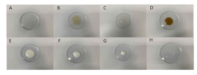 Experimental object and comparison group(A: Peach gum extract, B: Glue, C: Fish glue, D: Rabbit glue, E: Synthetic adhesives 1(Hereinafter S.A.1), F: Synthetic adhesives 2(Hereinafter S.A.2), G: Synthetic adhesives 3(Hereinafter S.A.3), H : Synthetic adhesives 4(Hereinafter S.A.4))