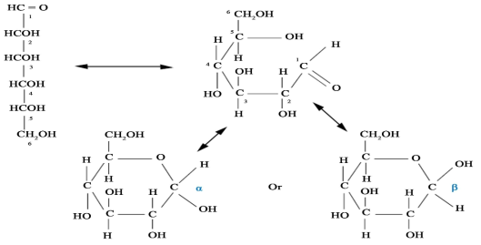 Open-chain and pyranose ring structures of the hexose sugar D-glucose