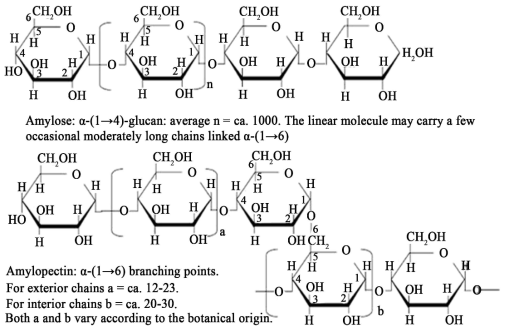 Structure of amylose and amylopectin