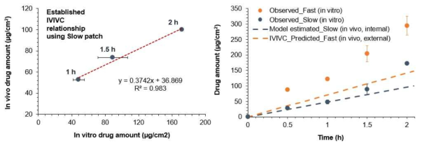Slow patch를 활용한 IVIVC의 확립 (왼쪽) 및 모델을 통해 산출된 Slow patch의 in vivo 확산량, IVIVC를 통해 예측된 Fast patch의 in vivo 확산량과 각각의 in vitro 수치와의 비교 (오른쪽)