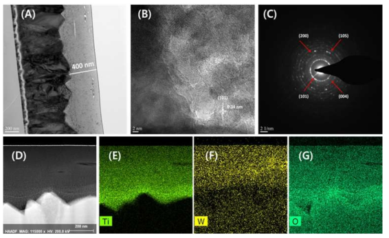 Cascade 형 광전극 구조의 TEM 결과 (A) graded W-TiO2 layer/FTO, (B) HRTEM, (C) SAED pattern, (D) STEM-HAADF image and (E-G) the corresponding EDAX elemental mapping images of titanium, tungsten, and oxygen