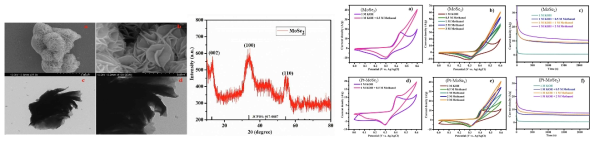 one-pot hydrotherma method를 통하여 제작한 MoSe2 전극 소재의 SEM, TEM, XRD, 및 CV 결과
