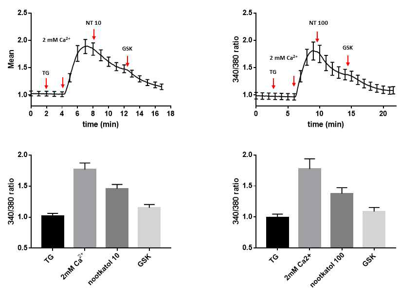 Nootkatol의 Primary human melanocyte에서 thapsigargin (TG)에 의해 유도되는 store-operated Ca2+ increase의 억제효과를 나타낸 그림 Nootkatol 10, 100 μM (NT 10, NT 100)의 처리는 TG에 의한 세포 내 칼슘 농도증가를 효과적으로 억제한다. GSK는 ORAI1의 potent inhibitor임