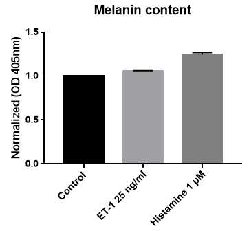 ET-1 및 histamine에 의한 멜라닌생성효과 ET-1 및 histamine을 처리하게 되면 멜라닌 생성이 증대됨