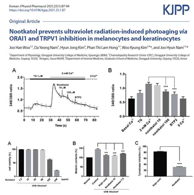 1차년도 연구를 바탕으로 한 연구성과 1차년도에서 nootkatol의 UV-induced photoaging 예방 효과를 KJPP에 단독사사로 게재하였음. 향후 이러한 실험을 바탕으로 각종 싸이토카인에서 천연물유래 성분화합물들의 억제 효과를 실험하고 논문으로 발표할 예정임