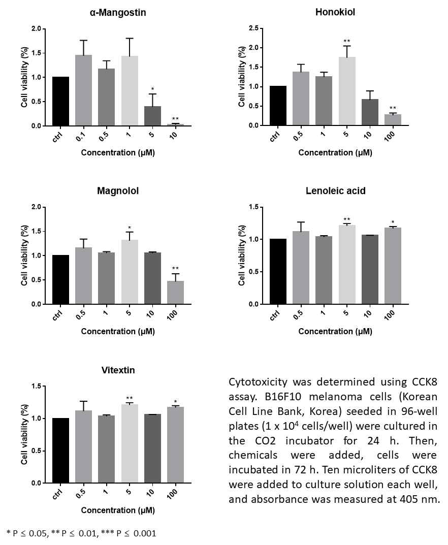 human primary melanocyte에서 유효성분화합물들의 세포독성 여부 측정