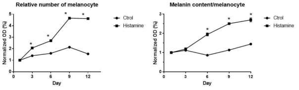 human primary melanocyte에서 histamine 처리 시 멜라닌 증식 및 멜라닌 생성양을 비교한 그림