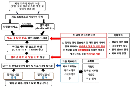 본 과제 연구개발 개요도