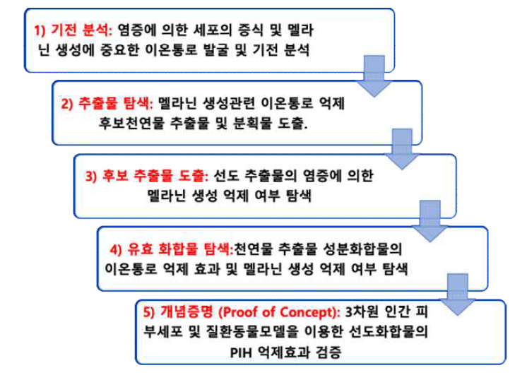 본 연구의 로드맵 선행연구 결과를 바탕으로 whole transcriptome sequencing을 통해 염증성 싸이토카인에 의한 이온통로 발현 변화 양상 탐색하고 타깃 단백을 설정하여 기전을 분석하였음. 타깃 발굴이 완료 후 이의 활성을 조절할 수 있는 추출물 및 분획물을 탐색하였고 성분 분석을 통해 선도화합물 도출하였음. 도출된 선도화합물을 대상으로 인간 멜라닌세포를 이용해 치료 효능을 검증하였음