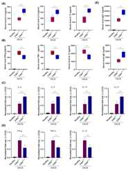 CISHcKO mice showed enhanced Th2-skewed inflammation in DNCB-treated mice. (A) Serum ELISA of Th2-associated cytokines. (B) Serum ELISA of Th1-associated cytokines. (C) qRT-PCR of Th2-associated cytokine in skin DCs. (D) qRT-PCR of Th1-associated cytokine in skin DCs. (E) Serum ELISA of IgG1 and IgE level in CISHcKO and CISHWT mice. Supplementary figure: (A) Immunohistochemistry (IHC) of Th2-associated cytokine in skin. (B) Immunohistochemistry (IHC) of Th1-associated cytokine in skin