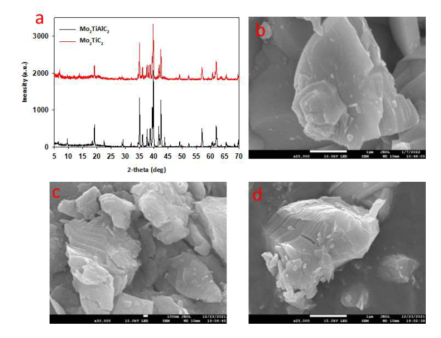 XRD and SEM images of Mo2TiAlC2