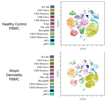 정상인과 아토피 피부염 환자의 세포 유형