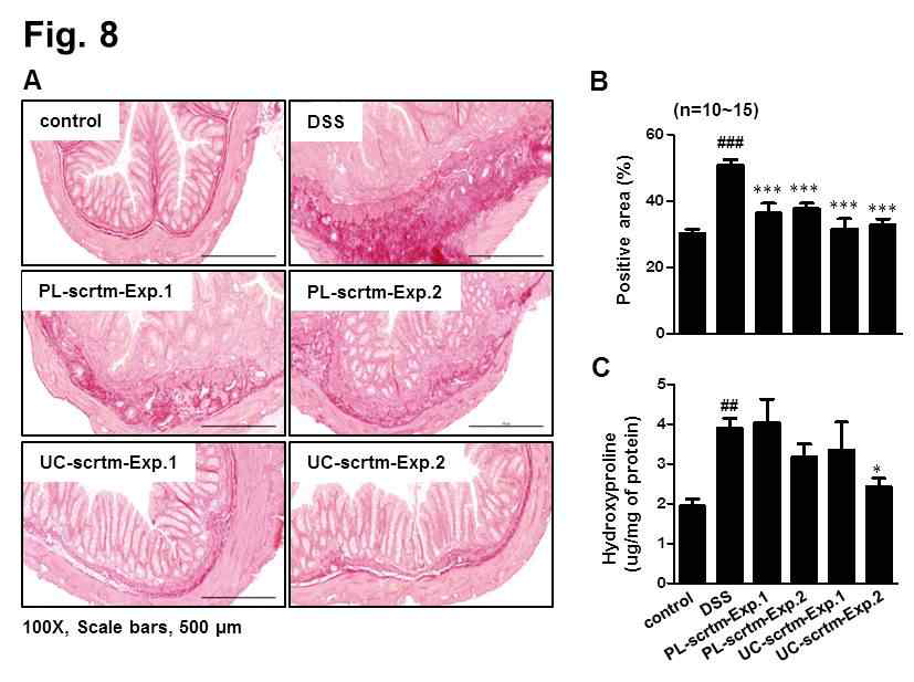 태반/탯줄 줄기세포 분비체 투여 시, DSS 투여 군(섬유화 군)에 비해 collagen 염색영역이 유의하게 감소하고, collagen protein 발현 양이감소하는 경향을 보임