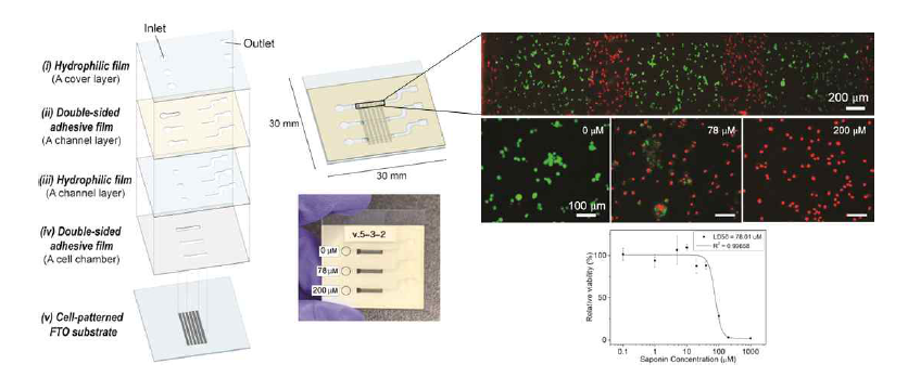 A miniaturized drug screening platform by combining a patterned cell chip and a film-based microfluidic chip