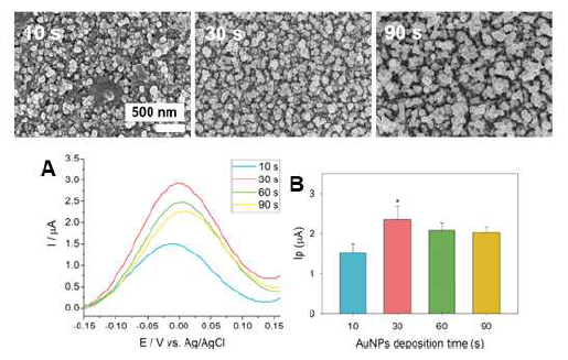 Electrodeposition of AuNPs for enhanced electrical signal