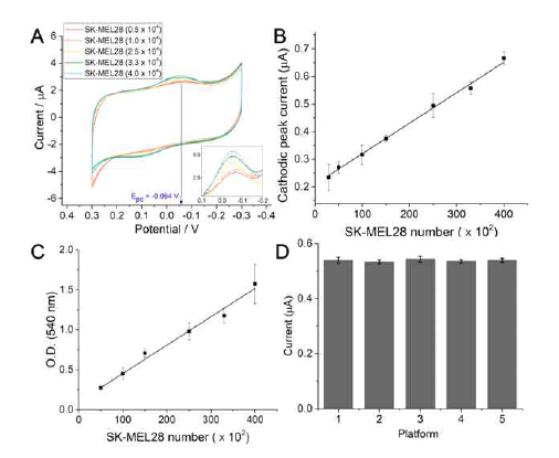 Correlation analysis between cyclic voltammetry (CV) signals and the cell numbers