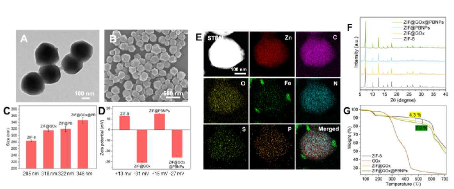 Characterization of ZIF@GOx@PBNPs