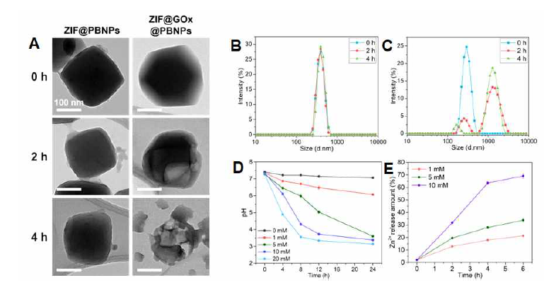 Degradation behavior of ZIF@GOx@PBNPs in TME-like environment