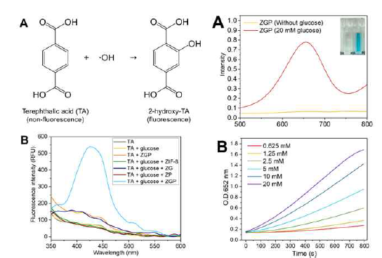 Catalytic activity of ZIF@GOx@PBNPs toward glucose