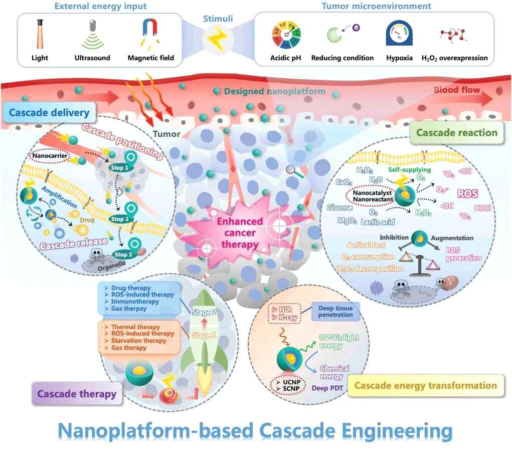 Schematic illustration of nanoplatform engineering for effective cancer therapy using cascade catalytic reactions.[78]