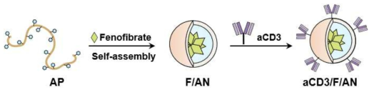 T세포 표적능 fenofibrate 탑재 나노 입자 설계