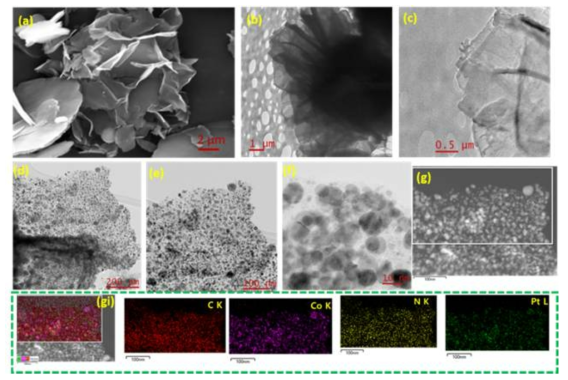 (a) FE-SEM 및 (b-C) Co-MOF와 같은 꽃의 TEM 이미지 (d-f) TEM 이미지 및 (g 및 gi) Pt-C 코어-쉘 @ Co-MOF의 HAADF-STEM 원소 색상 매핑