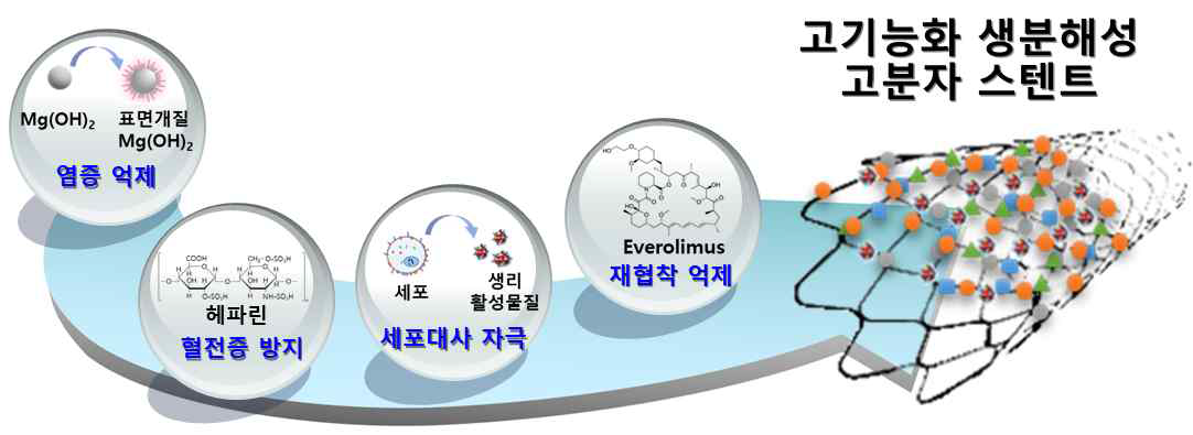 생체적합성을 갖는 심혈관계 생분해성 고분자 스텐트의 고기능화 추진전략