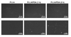 PLLA와 PDA가 코팅된 PLLA 표면 관측