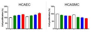 In vitro 실험을 통한 유효성 /안전성 평가