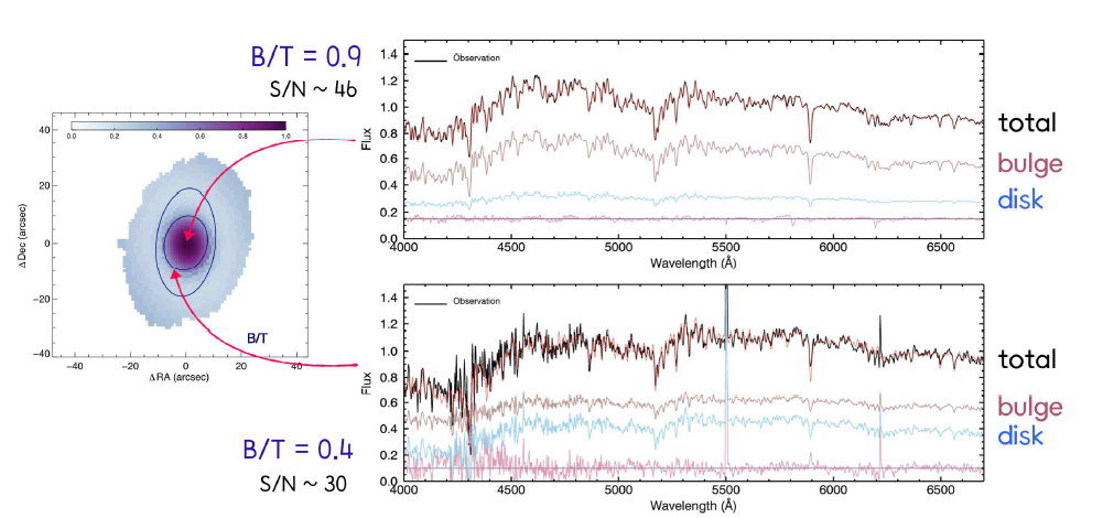 Examples of the bulge-disk-fit to a spectra light profiles with examples of decomposed bulge and disk spectra