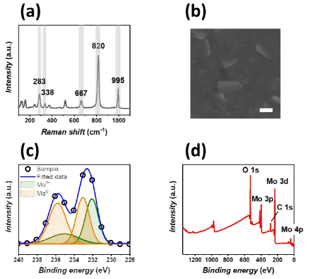 후열처리된 α-MoO3의 (a) 라만 분광 스펙트럼, (b) SEM 이미지 (scale bar : 200 nm) 및 XPS의 (c) narrow scan 및 (d) full scan 측정 결과