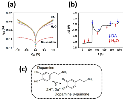 (a) 용액이 없는 경우, DIW 용액만 있는 경우, DIW 용액에 도파민이 주입된 경우의 MoO3 소자 전기적 특성. (b) Potentiostat에서 기록된 MoO3와 도파민 반응에 의한 실시간 전위차. (c) 도파민의 도파민 o-quinone으로의 산화 반응
