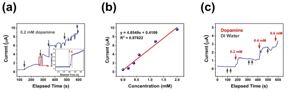 MoO3 기반 센서 소자의 전기화학적 동작 특성. (a) MoO3 채널의 도파민 반응 실시간 측정 I-t 그래프. Inset의 I-t 그래프는 2초 정도의 짧은 시간 동안의 도파민에 대한 반응성을 나타낸다. (b) 도파민 농도별 채널 전류의 선형 그래프 및 피팅. (c) 도파민과 DIW 주입에 대한 선택적 반응성 확인 I-t 그래프