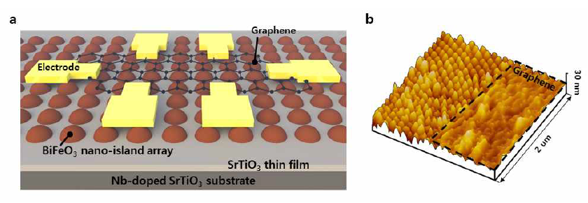 그래핀/BFO 나노점 접합 소자의 (a) 구조 모식도 및 (b) 3D AFM topography