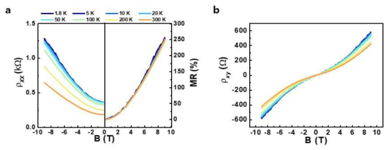 그래핀/BFO 나노점 배열 접합 소자의 (a) longitudinal resistivity와 자기저항 특성, (b) Hall resistivity