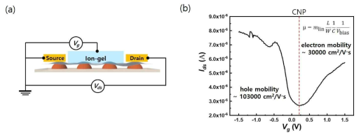 (a) 그래핀/STO 나노섬 배열 접합 소자의 전계효과 (a) 측정에 대한 모식도와 (b) 측정 결과