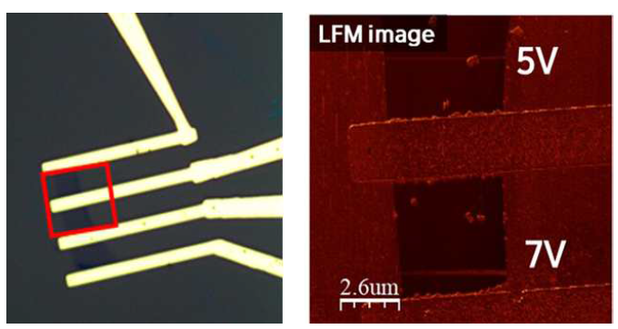 (좌) 평면 구조 그래핀/그래핀 산화물 접합 소자의 광학현미경 이미지 및 (우) AFM lithography 방법을 이용한 그래핀 산화물의 LFM 측정 결과